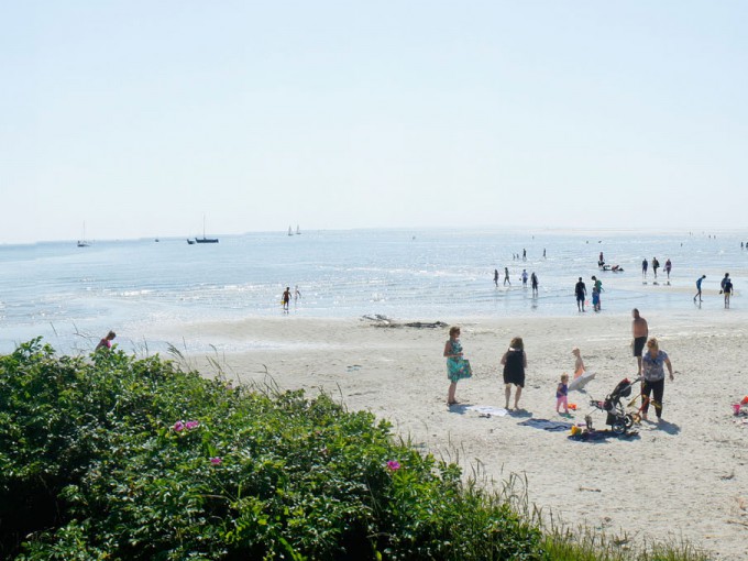 Groene strand panorama